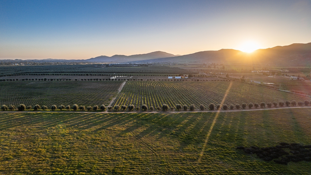 Baja California Wine Trail — Mexico luxury travel, Valle de Guadalupe vineyards — HauteBlack