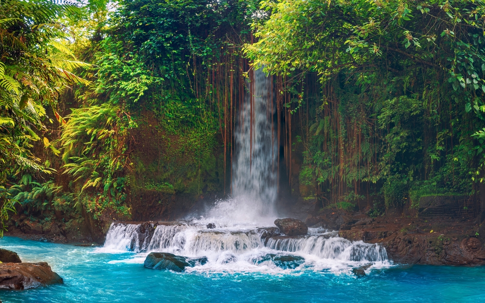 Ubud's Spiritual Heart to Uluwatu's Coastal Temples — Bali bespoke itinerary, sacred waterfall — HauteBlack