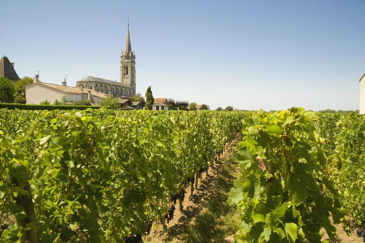 Exclusive Bordeaux — Médoc grand cru château and Dune du Pilat — HauteBlack