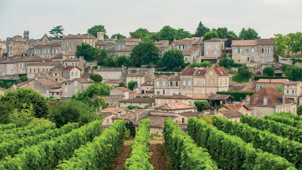 Exclusive Bordeaux — France luxury travel, private château vineyard tasting — HauteBlack