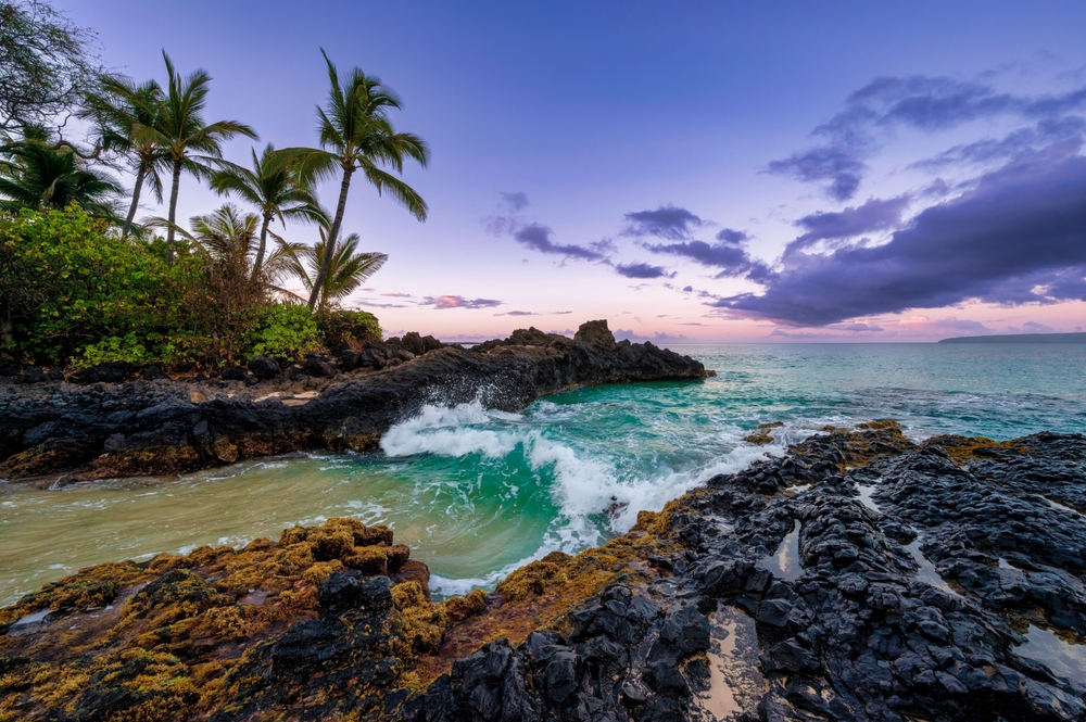 Palms and dark volcanic rock above a turquoise cove at dusk — the mood of a Pacific evening on HauteBlack’s Costa Rica Pacific Coast journey