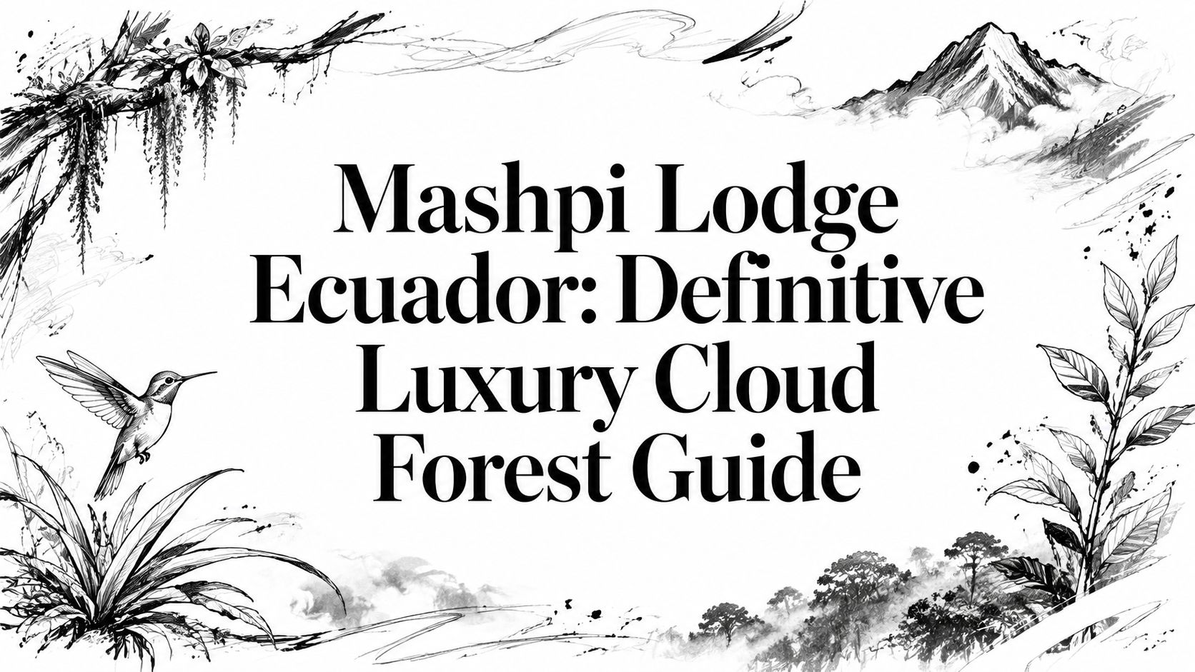Editorial sketch of Mashpi Lodge Ecuador — cloud forest, hummingbird, and Andean mountain | HauteBlack